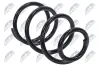 Fahrwerksfeder Vorderachse NTY ASZ-FR-025 Bild Fahrwerksfeder Vorderachse NTY ASZ-FR-025