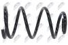 Fahrwerksfeder Vorderachse NTY ASZ-FR-025 Bild Fahrwerksfeder Vorderachse NTY ASZ-FR-025