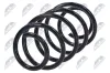 Fahrwerksfeder Vorderachse NTY ASZ-FR-028 Bild Fahrwerksfeder Vorderachse NTY ASZ-FR-028