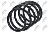 Fahrwerksfeder Vorderachse NTY ASZ-FR-034 Bild Fahrwerksfeder Vorderachse NTY ASZ-FR-034