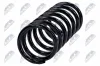 Fahrwerksfeder Hinterachse NTY ASZ-FR-038 Bild Fahrwerksfeder Hinterachse NTY ASZ-FR-038