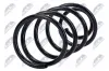 Fahrwerksfeder Vorderachse NTY ASZ-FR-056 Bild Fahrwerksfeder Vorderachse NTY ASZ-FR-056