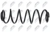Fahrwerksfeder Hinterachse NTY ASZ-FR-062 Bild Fahrwerksfeder Hinterachse NTY ASZ-FR-062