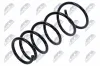 Fahrwerksfeder Vorderachse NTY ASZ-FT-000