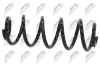 Fahrwerksfeder Hinterachse NTY ASZ-FT-001 Bild Fahrwerksfeder Hinterachse NTY ASZ-FT-001