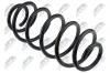 Fahrwerksfeder Hinterachse NTY ASZ-FT-003 Bild Fahrwerksfeder Hinterachse NTY ASZ-FT-003