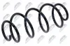 Fahrwerksfeder Vorderachse NTY ASZ-FT-004 Bild Fahrwerksfeder Vorderachse NTY ASZ-FT-004