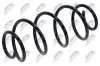 Fahrwerksfeder Vorderachse NTY ASZ-FT-004 Bild Fahrwerksfeder Vorderachse NTY ASZ-FT-004