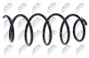 Fahrwerksfeder Vorderachse NTY ASZ-FT-006 Bild Fahrwerksfeder Vorderachse NTY ASZ-FT-006