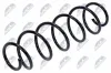 Fahrwerksfeder Vorderachse NTY ASZ-FT-010 Bild Fahrwerksfeder Vorderachse NTY ASZ-FT-010