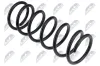 Fahrwerksfeder Hinterachse NTY ASZ-FT-013 Bild Fahrwerksfeder Hinterachse NTY ASZ-FT-013