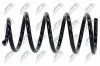 Fahrwerksfeder Hinterachse links Hinterachse rechts NTY ASZ-FT-018 Bild Fahrwerksfeder Hinterachse links Hinterachse rechts NTY ASZ-FT-018