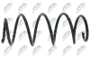 Fahrwerksfeder Vorderachse NTY ASZ-FT-019 Bild Fahrwerksfeder Vorderachse NTY ASZ-FT-019