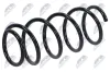 Fahrwerksfeder Vorderachse NTY ASZ-FT-020