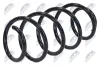 Fahrwerksfeder Vorderachse NTY ASZ-FT-028 Bild Fahrwerksfeder Vorderachse NTY ASZ-FT-028