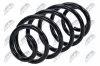 Fahrwerksfeder Hinterachse NTY ASZ-FT-029 Bild Fahrwerksfeder Hinterachse NTY ASZ-FT-029