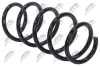 Fahrwerksfeder Vorderachse links NTY ASZ-HD-005 Bild Fahrwerksfeder Vorderachse links NTY ASZ-HD-005