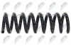 Fahrwerksfeder Hinterachse NTY ASZ-ME-021 Bild Fahrwerksfeder Hinterachse NTY ASZ-ME-021