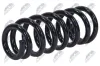 Fahrwerksfeder Vorderachse NTY ASZ-MS-000 Bild Fahrwerksfeder Vorderachse NTY ASZ-MS-000