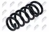 Fahrwerksfeder Vorderachse NTY ASZ-MS-006