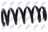 Fahrwerksfeder Vorderachse NTY ASZ-MS-006 Bild Fahrwerksfeder Vorderachse NTY ASZ-MS-006