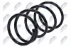 Fahrwerksfeder Vorderachse NTY ASZ-MS-009 Bild Fahrwerksfeder Vorderachse NTY ASZ-MS-009