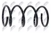 Fahrwerksfeder Vorderachse NTY ASZ-MS-009 Bild Fahrwerksfeder Vorderachse NTY ASZ-MS-009