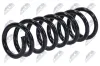 Fahrwerksfeder Hinterachse NTY ASZ-MS-010 Bild Fahrwerksfeder Hinterachse NTY ASZ-MS-010