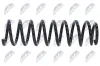 Fahrwerksfeder Hinterachse NTY ASZ-MS-012 Bild Fahrwerksfeder Hinterachse NTY ASZ-MS-012