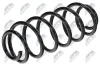Fahrwerksfeder Hinterachse NTY ASZ-MS-017