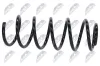 Fahrwerksfeder Vorderachse NTY ASZ-MS-021 Bild Fahrwerksfeder Vorderachse NTY ASZ-MS-021