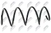 Fahrwerksfeder Vorderachse NTY ASZ-NS-001 Bild Fahrwerksfeder Vorderachse NTY ASZ-NS-001