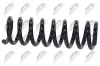 Fahrwerksfeder Vorderachse NTY ASZ-NS-003 Bild Fahrwerksfeder Vorderachse NTY ASZ-NS-003