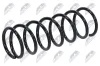 Fahrwerksfeder Vorderachse rechts NTY ASZ-NS-006 Bild Fahrwerksfeder Vorderachse rechts NTY ASZ-NS-006