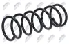 Fahrwerksfeder Vorderachse NTY ASZ-NS-007 Bild Fahrwerksfeder Vorderachse NTY ASZ-NS-007