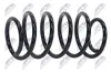 Fahrwerksfeder Vorderachse NTY ASZ-NS-011 Bild Fahrwerksfeder Vorderachse NTY ASZ-NS-011