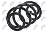 Fahrwerksfeder Hinterachse NTY ASZ-NS-018 Bild Fahrwerksfeder Hinterachse NTY ASZ-NS-018