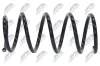 Fahrwerksfeder Vorderachse NTY ASZ-NS-020 Bild Fahrwerksfeder Vorderachse NTY ASZ-NS-020