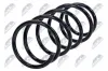 Fahrwerksfeder Vorderachse NTY ASZ-NS-025 Bild Fahrwerksfeder Vorderachse NTY ASZ-NS-025