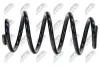 Fahrwerksfeder Hinterachse NTY ASZ-NS-029 Bild Fahrwerksfeder Hinterachse NTY ASZ-NS-029