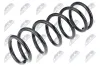 Fahrwerksfeder Hinterachse NTY ASZ-NS-031