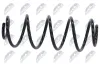 Fahrwerksfeder Hinterachse NTY ASZ-PE-004 Bild Fahrwerksfeder Hinterachse NTY ASZ-PE-004