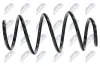 Fahrwerksfeder Vorderachse NTY ASZ-PE-006 Bild Fahrwerksfeder Vorderachse NTY ASZ-PE-006