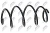 Fahrwerksfeder Vorderachse NTY ASZ-PE-007 Bild Fahrwerksfeder Vorderachse NTY ASZ-PE-007