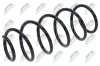 Fahrwerksfeder Vorderachse NTY ASZ-PE-010 Bild Fahrwerksfeder Vorderachse NTY ASZ-PE-010