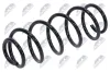 Fahrwerksfeder Vorderachse NTY ASZ-PE-013 Bild Fahrwerksfeder Vorderachse NTY ASZ-PE-013