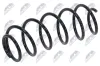 Fahrwerksfeder Hinterachse NTY ASZ-PE-028