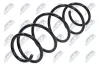 Fahrwerksfeder Vorderachse NTY ASZ-PE-031 Bild Fahrwerksfeder Vorderachse NTY ASZ-PE-031