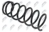 Fahrwerksfeder Hinterachse links Hinterachse rechts NTY ASZ-PL-003 Bild Fahrwerksfeder Hinterachse links Hinterachse rechts NTY ASZ-PL-003