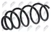 Fahrwerksfeder Vorderachse NTY ASZ-PL-004